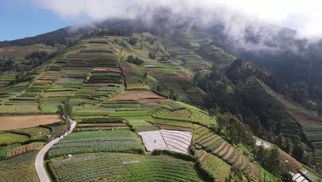 Wunderschöne-Luftaufnahme-Von-Gartenfeldern-An-Den-Hängen-Des-Mount-Sumbing,-Zentraljava,-Indonesien