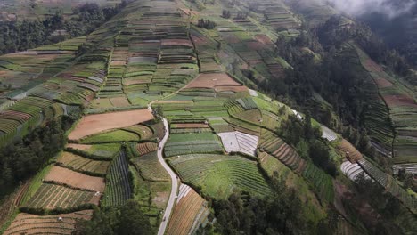 Hermosa-Vista-Aérea-De-Los-Campos-De-Jardín-En-Las-Laderas-Del-Monte-Sumbing,-Java-Central,-Indonesia