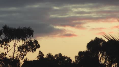 Puesta-De-Sol-Australiana-Grandes-Nubes-Y-árboles-De-Goma-Anochecer-Australia-Maffra-Gippsland-Victoria