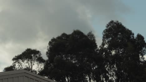 Grandes-Nubes-Dramáticas-Formando-Timelapse-árboles-De-Goma-Ventoso-Durante-El-Día-Australia-Victoria-Gippsland-Maffra