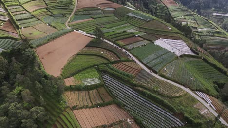 Beautiful,-aerial-view-of-garden-fields-on-the-slopes-of-Mount-Sumbing,-Central-Java,-Indonesia