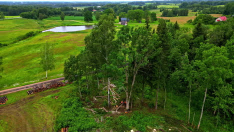 Forest-cutting,-aerial-of-wood-chopping-used-for-construction-of-log-cabins