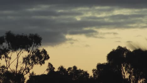 Puesta-De-Sol-Australiana-Timelapse-Grandes-Nubes-Cielo-Naranja-Y-árboles-De-Goma-Australia-Maffra-Gippsland-Victoria