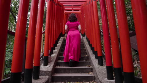 View-Behind-Woman-In-Red-Dress-Walking-Through-Torii-Row-At-Hie-Shrine-In-Tokyo,-Japan