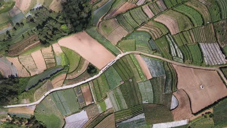 Drone-Derribado,-Campos-De-Jardín-En-Las-Laderas-Del-Monte-Sumerging,-Magelang-Indonesia