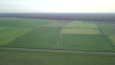 Aerial-drone-shot-of-flyover-the-farm-fields-in-the-Netherlands