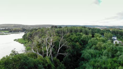 Aerial-pan-shot-trees-and-lake-in-Kolbudy,-pomeranian-district-in-Poland