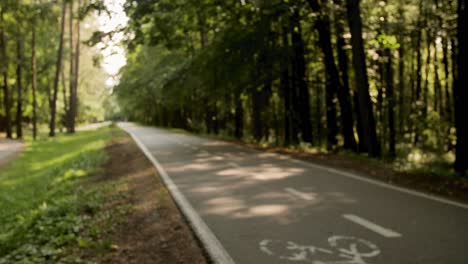 Personas-Que-Usan-Transporte-Ecológico-En-El-Parque-De-La-Ciudad