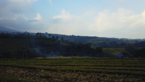 Toma-Panorámica-De-Derecha-A-Izquierda-De-Las-Terrazas-De-Arroz-De-Jatiluwih-Para-Revelar-Vacas-En-Un-Establo-Mientras-Se-Alimentan.