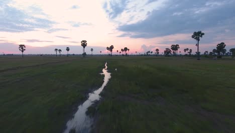 Landschaft-Des-Reisfeldes-Auf-Dem-Land-Bei-Sonnenuntergang