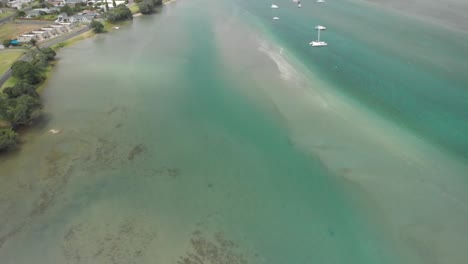 Upwards-shot-of-Coromandel-Pennisula