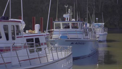 Boats-docked-in-Depoe-Bay,-the-worlds-smallest-Harbor