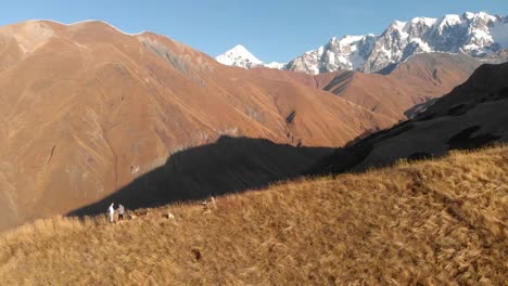 Eine-Umkreisende-Drohne-Von-Zwei-Männern,-Die-Auf-Einem-Bergkamm-Stehen-Und-Von-Streunenden-Hunden-Umgeben-Sind