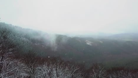 Drone-Vuela-Hacia-Atrás-Entre-árboles-En-El-Bosque-Mientras-Nieva