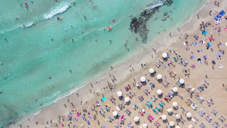 Aerial-spiral-descending-shot-of-a-crowded-sandy-beach
