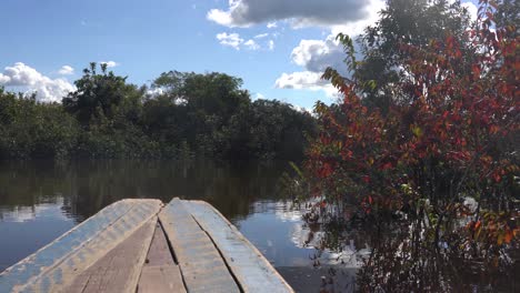 Enjoying-a-boat-ride-on-the-Amazon-river-with-lush,-green-plant-life-along-the-riverbank---Wide-shot,-brazil,-peru