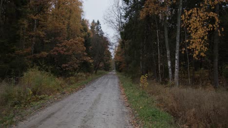 Leere-Straße-In-Einem-Herbstlichen-Wald