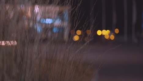 Utrecht-centraal-central-train-station-people-walking-at-night-with-bokeh-balls-between-moving-grass-in-the-wind