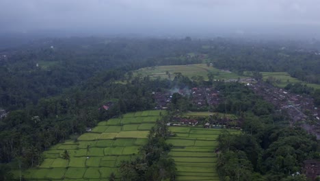 Vista-Por-Drones-De-Las-Terrazas-De-Arroz-De-Tegallalang-En-Bali.