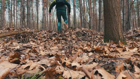 Person-hikes-past-the-camera-through-a-forest-and-over-a-small-hill