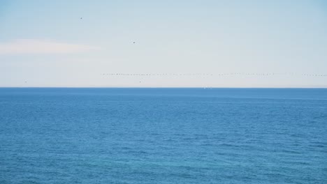 A-blue---calm-ocean-view-with-birds-flying-in-a-line