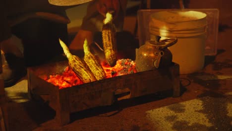 Street-Vendor-cooking-Corn-on-the-Cob-at-night-outside-Ab-o-Atash-Park-in-Tehran,-Iran