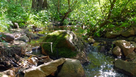 Running-creek-in-the-lush-woods-in-the-town-of-Partille-outside-of-Gothenburg,-Sweden