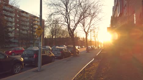 Sonnenlicht-Scheint-Auf-Eine-Leere-Straße-Ohne-Verkehr-Oder-Menschen-Wegen-Der-Covid-Pandemie