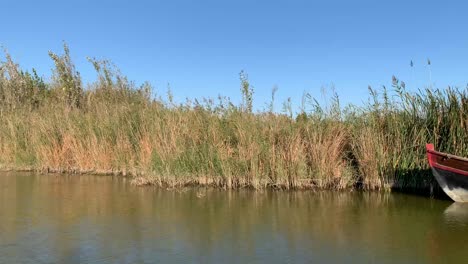 Blick-Vom-Boot,-L&#39;albufera,-Valencia