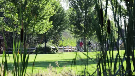 Two-bike-riders-left-to-right-in-a-beautiful-green-park-on-a-warm-morning