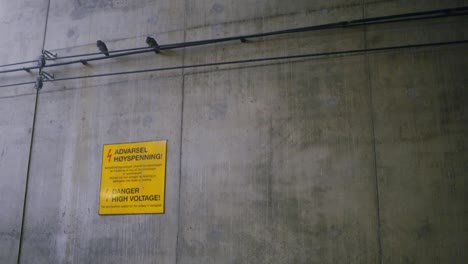 Oslo-central-train-station-concrete-with-pigeons,-Advarsel-Høyspenning