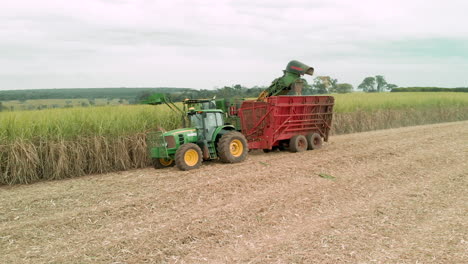 Sugar-cane-harvest-in-cloudy-day-in-Brazil---aerial-view---Canavial