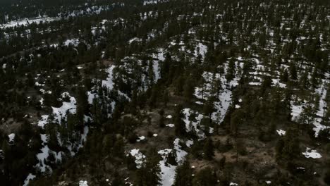 Utah-forest-and-mountain-by-drone