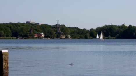 The-Netherlands-Kralingse-Plas-with-sailboat,-ducks-and-traditional-old-dutch-Windmill