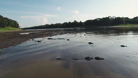 Kaimanhorde-Planscht-Im-Wasser