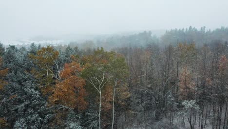 Luftaufnahmen-Fliegen-über-Einem-Herbstlichen-Wald-Und-Offenbaren-Eine-Magische-Winterlandschaft