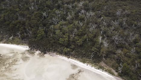 Drohnenaufnahmen,-Die-Sich-Nach-Rechts-Bewegen-Und-Grünflächen-Und-Strand-Zeigen