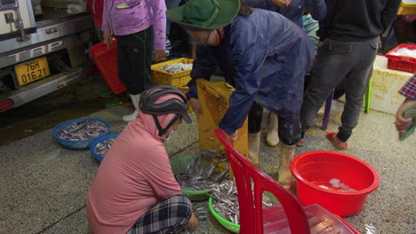 Fishermen-sorting-small-fish-for-trading-in-largest-fishing-port-Tho-Quang,-Vietnam