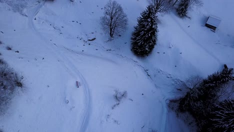 Vista-Aérea-De-Un-Grupo-De-Pájaros-Cuervos-En-Invierno-En-Los-Alpes-Suizos-En-Grindelwald