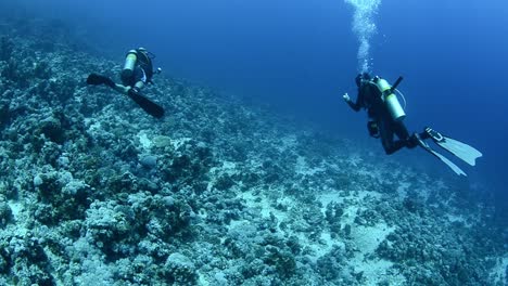 Buceadores-Bajo-El-Agua-En-El-Océano-En-Un-Arrecife-De-Coral