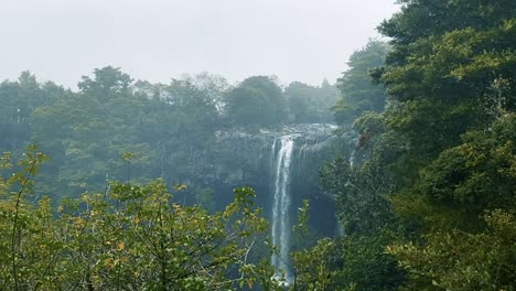 Foto-Fija-De-Una-Cascada-En-Un-Bosque-En-Nueva-Zelanda