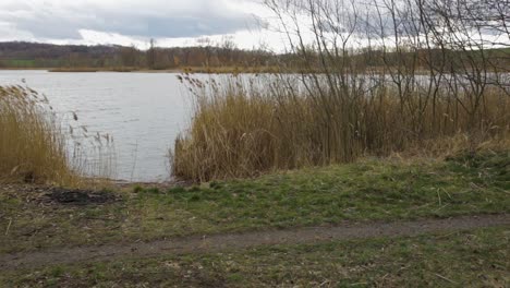 Two-guys-motor-riding-by-a-narrow-trail-along-the-lake-in-Zlotoryja,-Poland---medium-shot