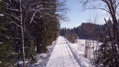 Aerial,-drone-shot-over-a-snowy-forest-road,-sunny-day,-in-Birkeland,-Agder,-South-Norway