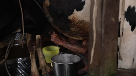 Vacas-En-La-Fábrica-De-Producción-De-Leche