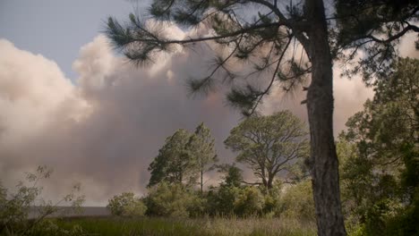 Five-Mile-Swamp-Feuer-Im-Santa-Rosa-County-Ab-Mai-2020