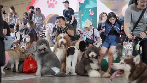 Petfest-Indonesia-En-Ice-Bsd,-Tangerang-Del-Sur