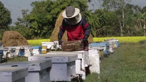 Bienenzucht-In-Chitwan,-Nepal