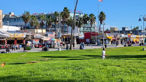 Promenade-of-venice-beach-with-trees-and-people-on-a-sunny-summer-day