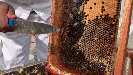 Honeycomb-cutting-in-Chitwan-Nepal