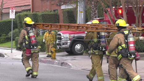 Firefighters-walk-with-ladders-through-street